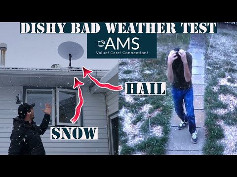 Starlink Hail and Snow Alberta Weather Test