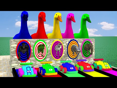 Long Slide Game With Cow Elephant Gorilla Hippopotamus Tiger 3d Animal Game Funny 3d Animals