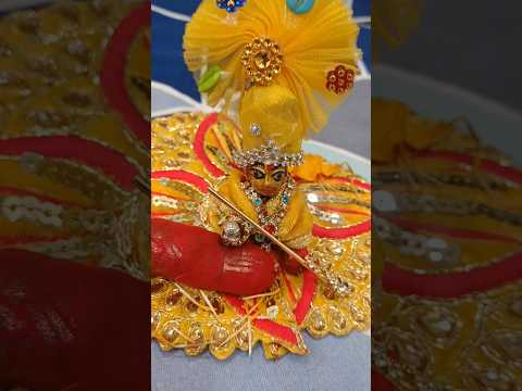 Tere bin koi na hamara hai #laddugopalji #laddugopal #ytshorts #shortsfeed #shorts #krishna