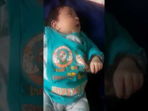 my little champ