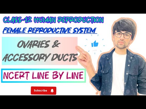 Class-12 Lecture-4 Human Reproduction [ Female Reproductive System-Ovaries & Accessary Ducts]