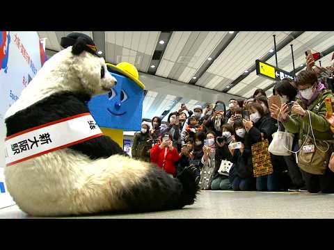 アドベンチャーワールドのパンダキャラ「Smile（すみれ）」が一日駅長 JR新大阪駅で特急くろしお60周年イベント