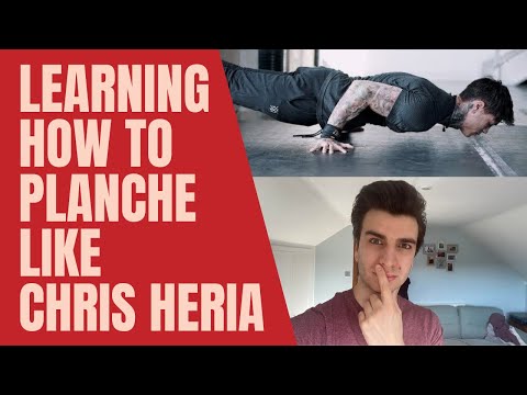 My planche push up Journey