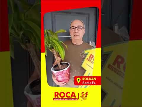 Viviendas Roca