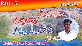 Zahid Insari - Maher Ali Sarkar ji Babu Shah Sarkar ji Mara Tusan | Darliya Jabar Darbar Part - 5