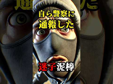 【珍事件】自ら警察に通報した迷子泥棒