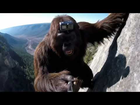 Lone Bigfoot Vlog Clip Compilation (Part 1)