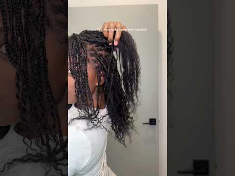 ✨4C Mini Braids w/ Human Hair Extensions ✨ #naturalhair #bigchopjourney #naturalhairstyles #4chair
