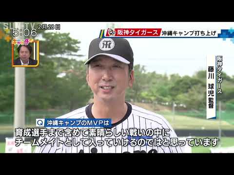 🐯阪神タイガース　沖縄キャンプ打ち上げ🌺⚾