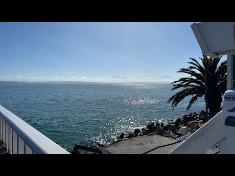 Town of Mossel Bay | harbour | London fisheries at Mossel Bay harbour