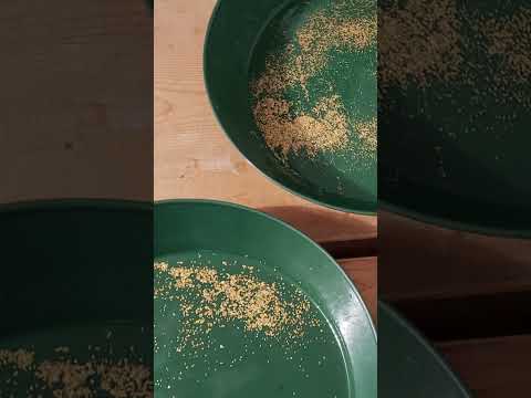 Separating Placer Gold Based on Mesh Size after Clean Up from Weekend Highbanking Trip in BC