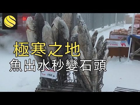 極寒之地，最冷城市氣溫在零下50度，魚從水裡出來秒變石頭，菜市場只有一種菜