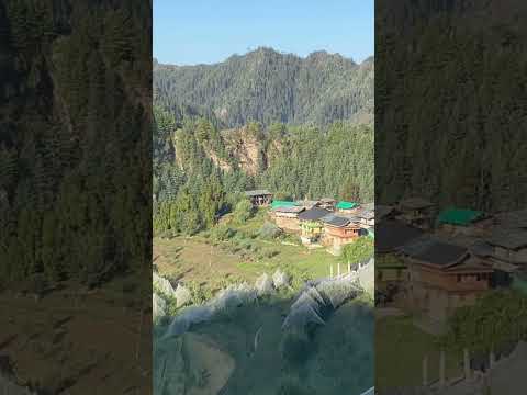 #Thachi valley Dev Chunjwala ki Nagri #Shalagaad#appletree #sukoon #Mountainboy3