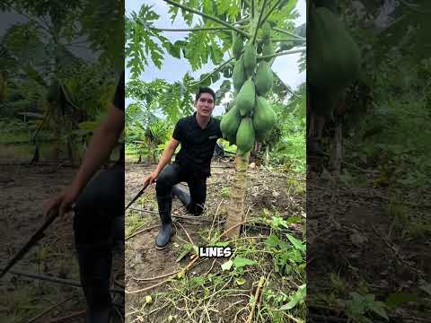 This is one of the biggest, but least known scams in the world