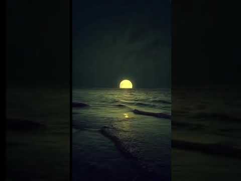 Aesthetic Lofi ( feel the song) #slowedreverb #music #lofimashup #love #song #lofix