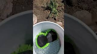 DIY Detailing Tips #1 - The 2 Bucket Method!