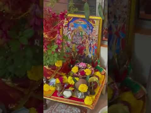 Jai tulsi maa