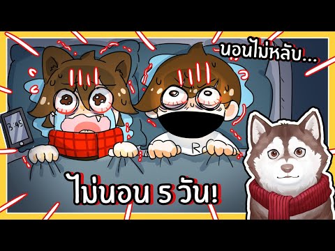 หมาสติแตกไม่ได้นอน5วัน! เกิดอะไรขึ้น? (Insomnia Roblox)