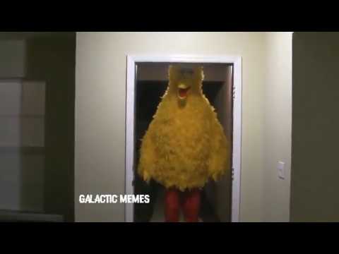 BIG BIRD Circulation DANK MEME