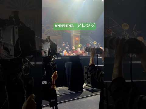 ANNTENA アレンジ #harmony #mrsgreenapple #ミセスハーモニー #ミセスグリーンアップル #大森元貴
