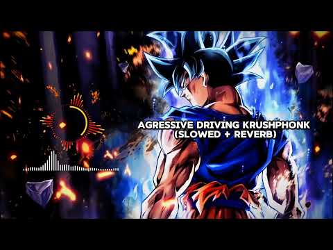 AGRESSIVE DRIVING KRUSHPHONK (SLOWED + REVERB)