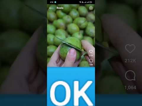 walnut best video