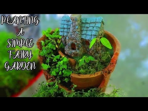 Planting A Simple Fairy Garden Planter/Pot