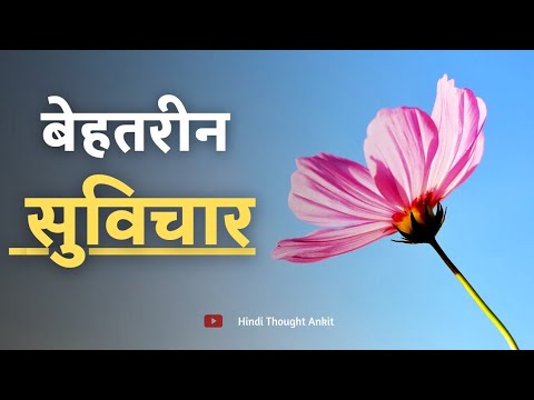 बेहतरीन सुविचार ! Aaj ka Suvichar | Quotes | Anmol Vachan | Suvichar | Hindi Thought