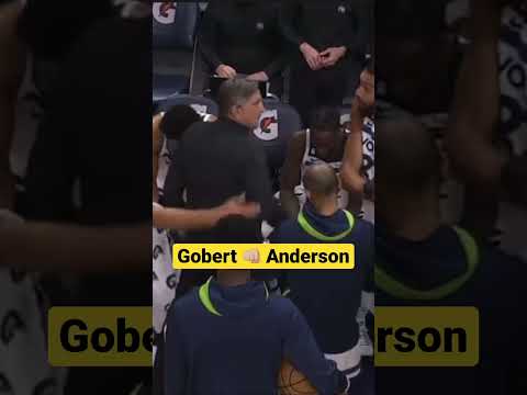 GOBERT VS ANDERSON #nba #nbatoday #nbahighlights #fight #gobert #anderson #playoffs  #timberwolves