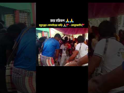 মৃত্যুঞ্জয় গোসাঁইয়ের বাড়ি মোল্লাকান্দি গোপালগঞ্জে 🚩🙏 #হরিবল #ওড়াকান্দি