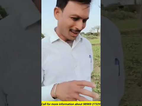 Shopnet india के एग्रीकल्चर Product  के बहुत ही शानदार रिजल्ट जहर मुक्त खेती #Shopnet #ADSEI
