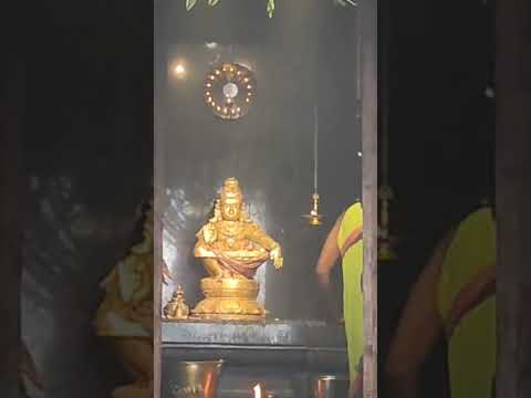 Ayyappa Swamy abhishekam 30-oct #ayyappa #ayyappan #sabarimala #abhishekam