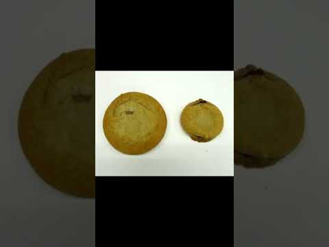 小さくなったもの🍪 Smaller🍪 #shorts #wisdom #tiktok