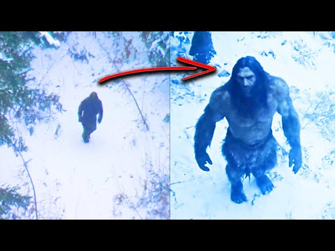 'Our Drone Captured BIGFOOT and It Hunted Us For It' - DISTURBING BIGFOOT STORY
