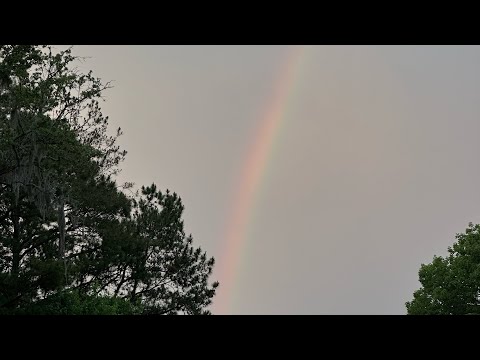 Original meaning of the rainbow/ does it really represent pride month?