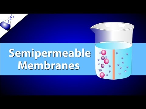 The Semipermeable Membrane