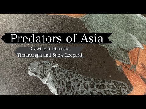 Predators of Asia (Pilot)|Masters of the Mountains| Timurlengia and Snow Leopard