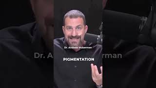 The Power Of SUNLIGHT #andrewhuberman #sunexposure #testosterone #neuroscience #dopamine #anxiety