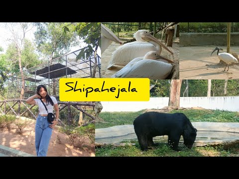 Shipahejala Berai Mo || Vlog Video || Armita Reang 🌷#new #vlogs#tripura