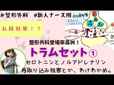 【鎮痛薬⑤】トラムセットは意外と理解が難しいよね☆前編！#整形外科#看護師#新人ナース
