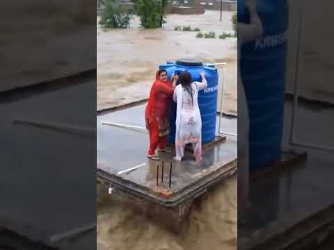 बाड़ में फसे लोग #youtubeshorts #flashflood #news