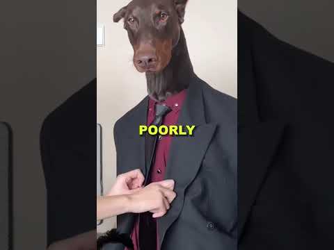 party and dog feel sad 😢 #sad #saddog #puppy #shortvideo #shots #youtubeshorts #shorts