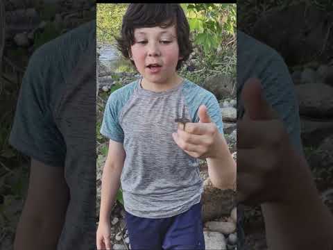 #GOLD #goldmining #prospecting #treasuresearch