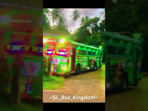 මිහිපිට සුරංගනාවිය💚🧚 #suranganawi #automobile #bus #dj #srilanka #driver #buses #travel #love #owner