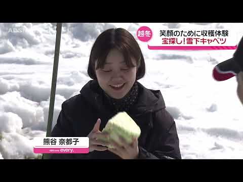 とにかく甘い！雪の下キャベツ