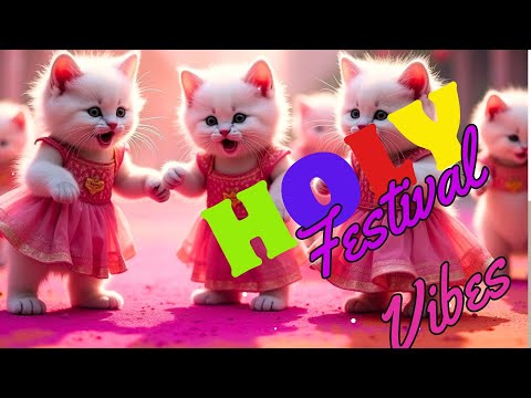 Cat Dance Funny Videos💃| Holy Vibes  #catdance #funnycatvideos #holy