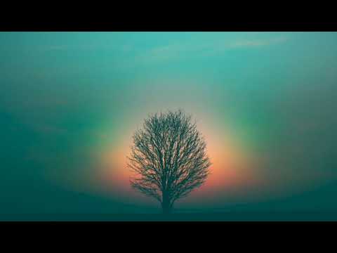 MarieCharlotte - Laisser aller