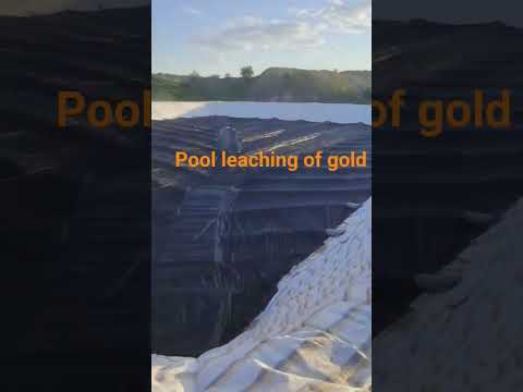 pool leaching of gold #goldmining #goldextraction
