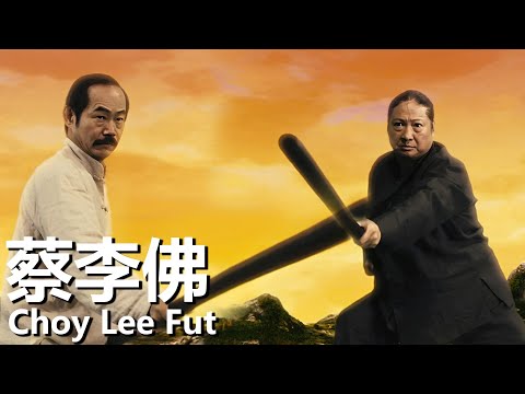 【粤语】蔡李佛 (2011) | Choy Lee Fut (洪金寶，黃嘉樂，元華) | 中國拳法遭受挑戰，年輕的接班人如何應對【1080P】|#經典華語老電影