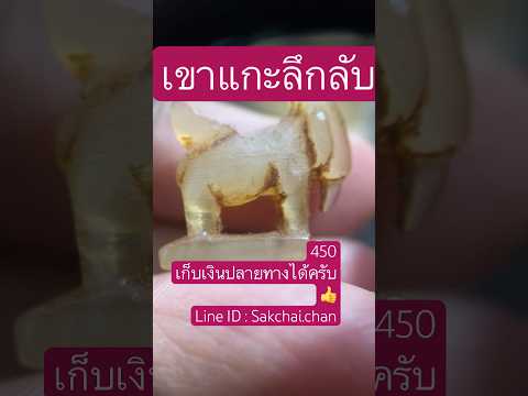 #เครื่องรางของขลัง #พระเครื่อง #เขาควายแกะ